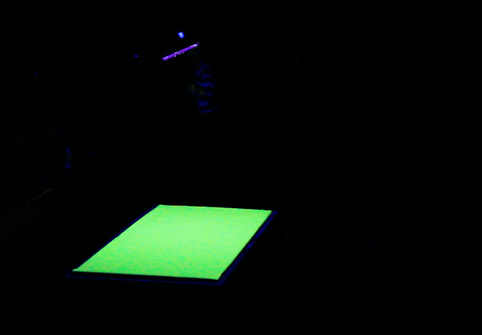 le risque zéro n’existe pas - sara favriau