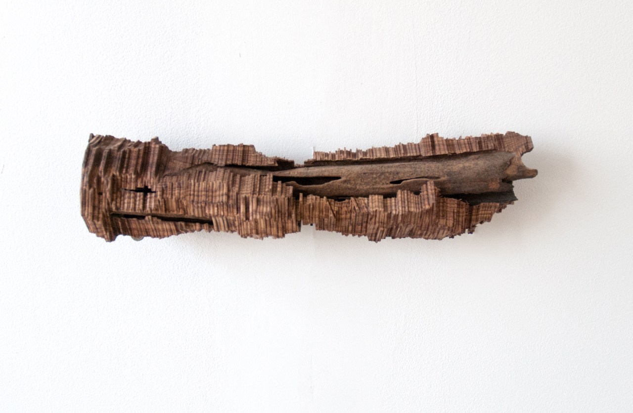 la brousse est un safari - sara favriau