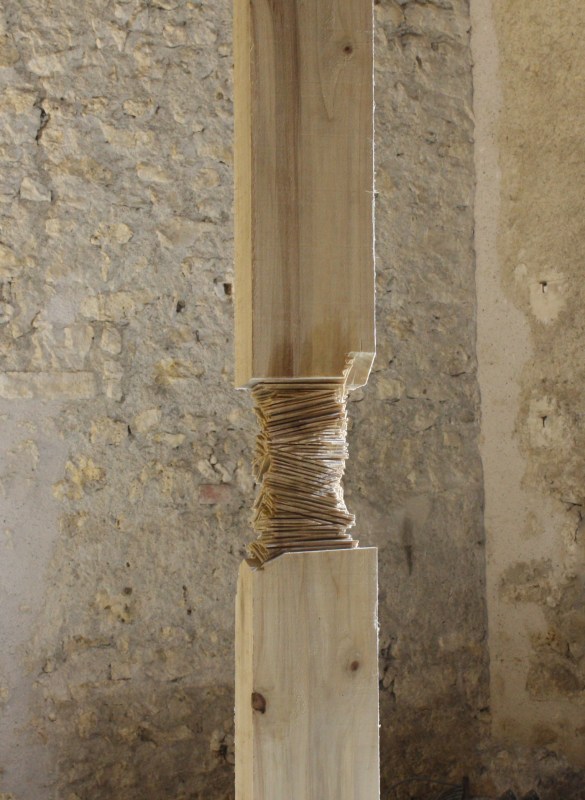 ou prologue pour une chimère - sara favriau