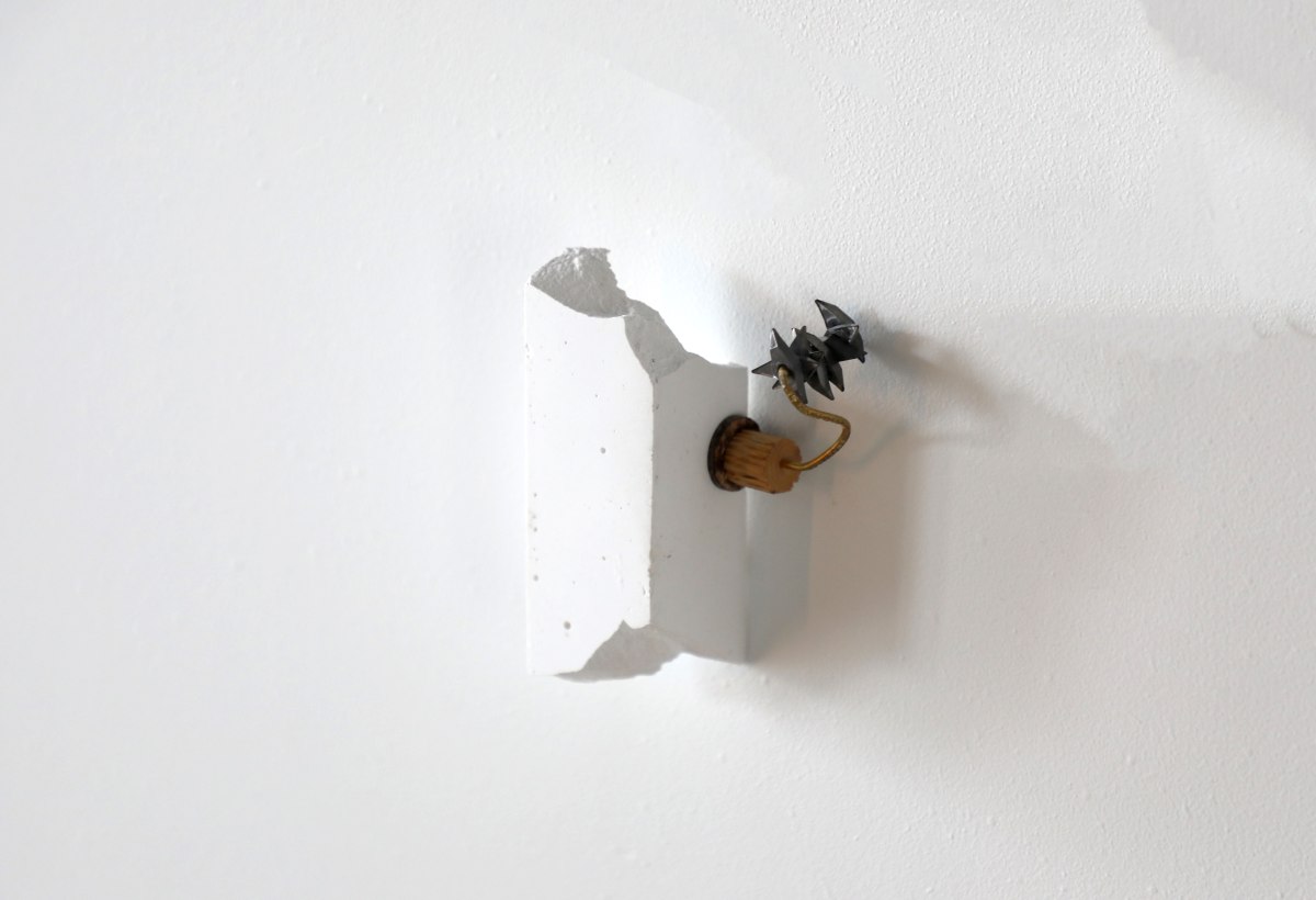 l’âge allié se ferre de bronze - sara favriau