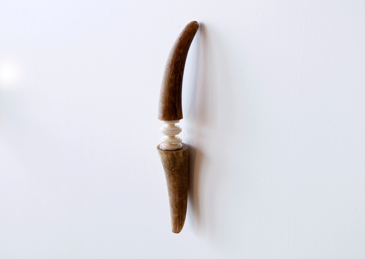 l’âge allié se ferre de bronze - sara favriau