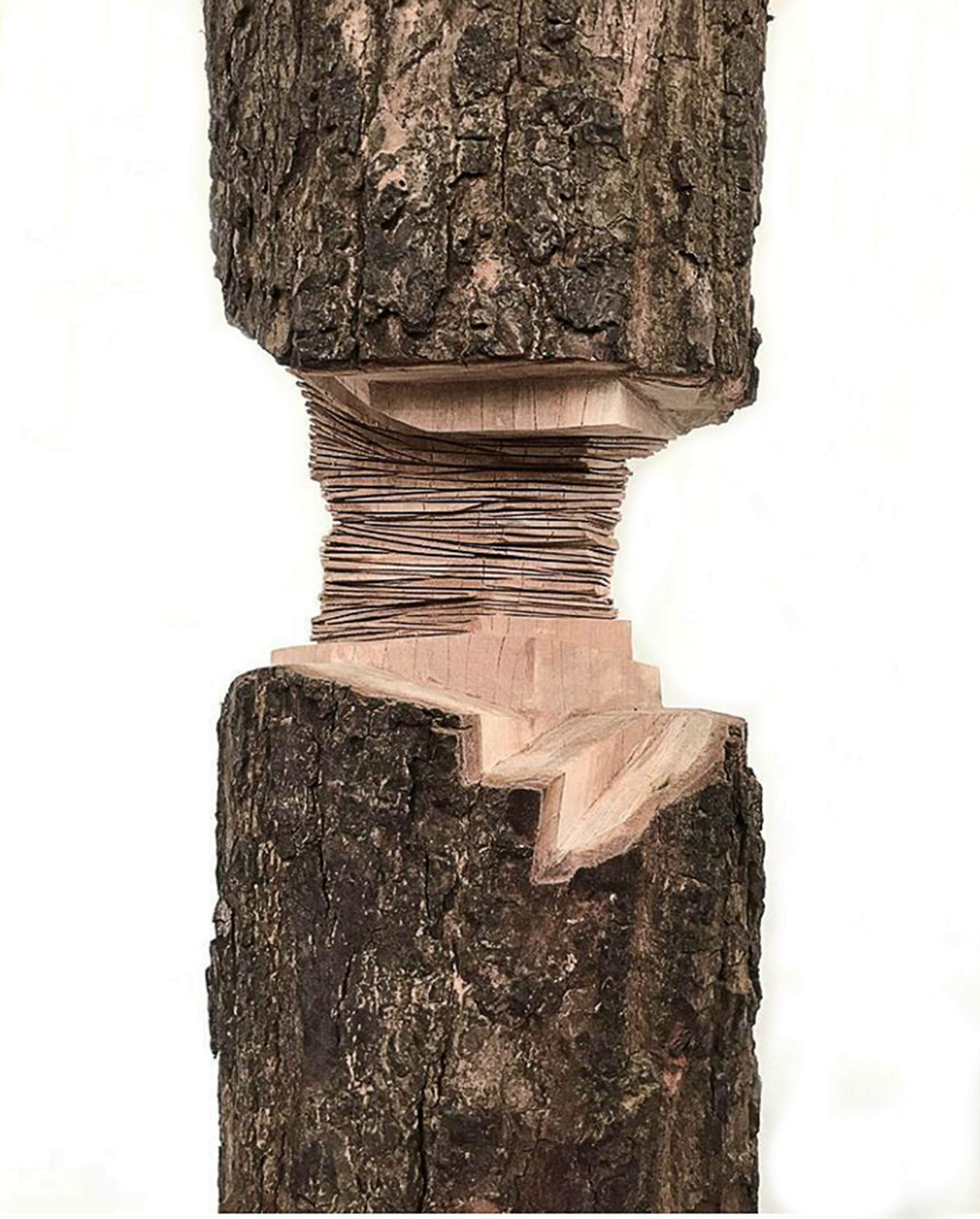 rien n'est moins comparable sara favriau