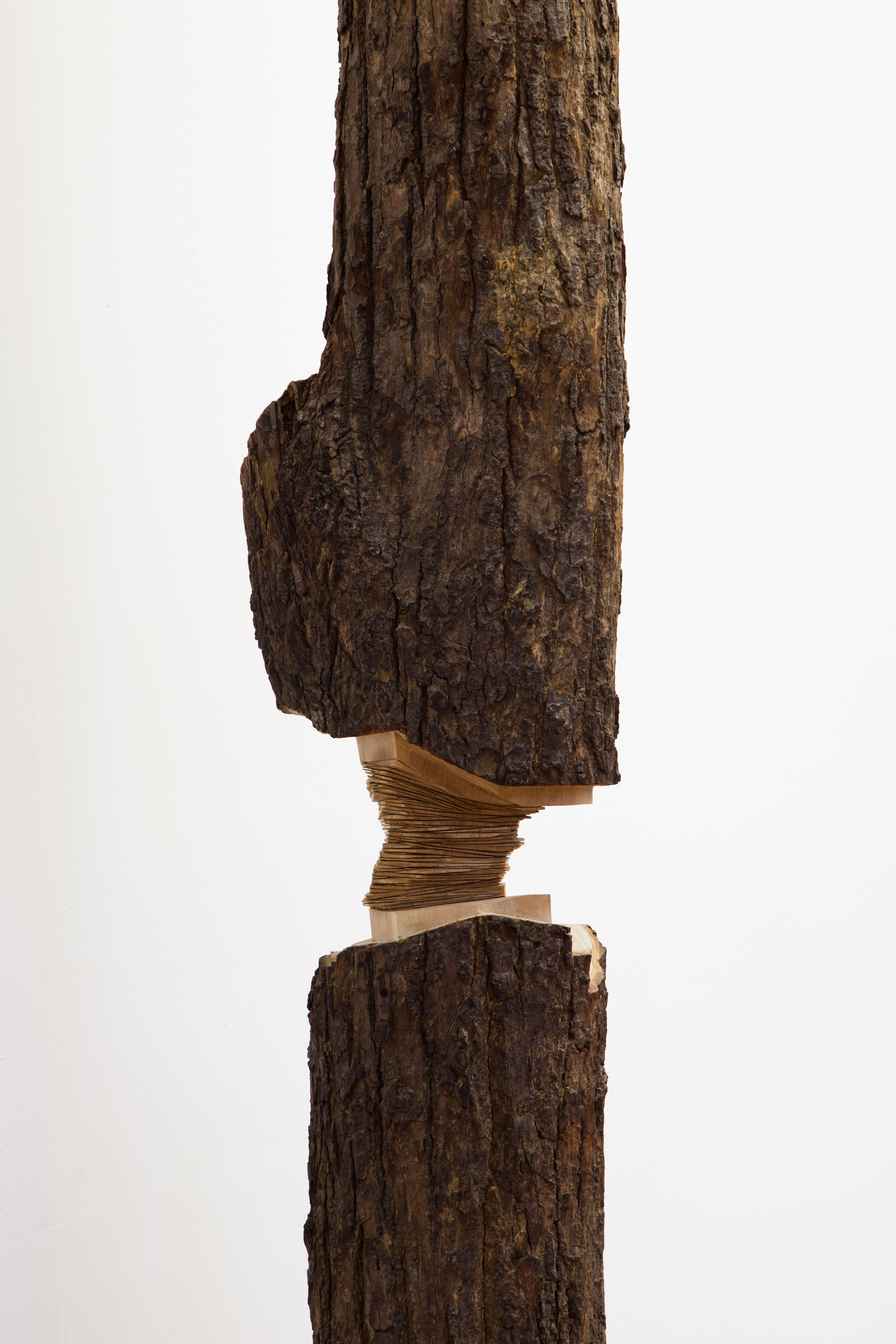 rien n'est moins comparable sara favriau