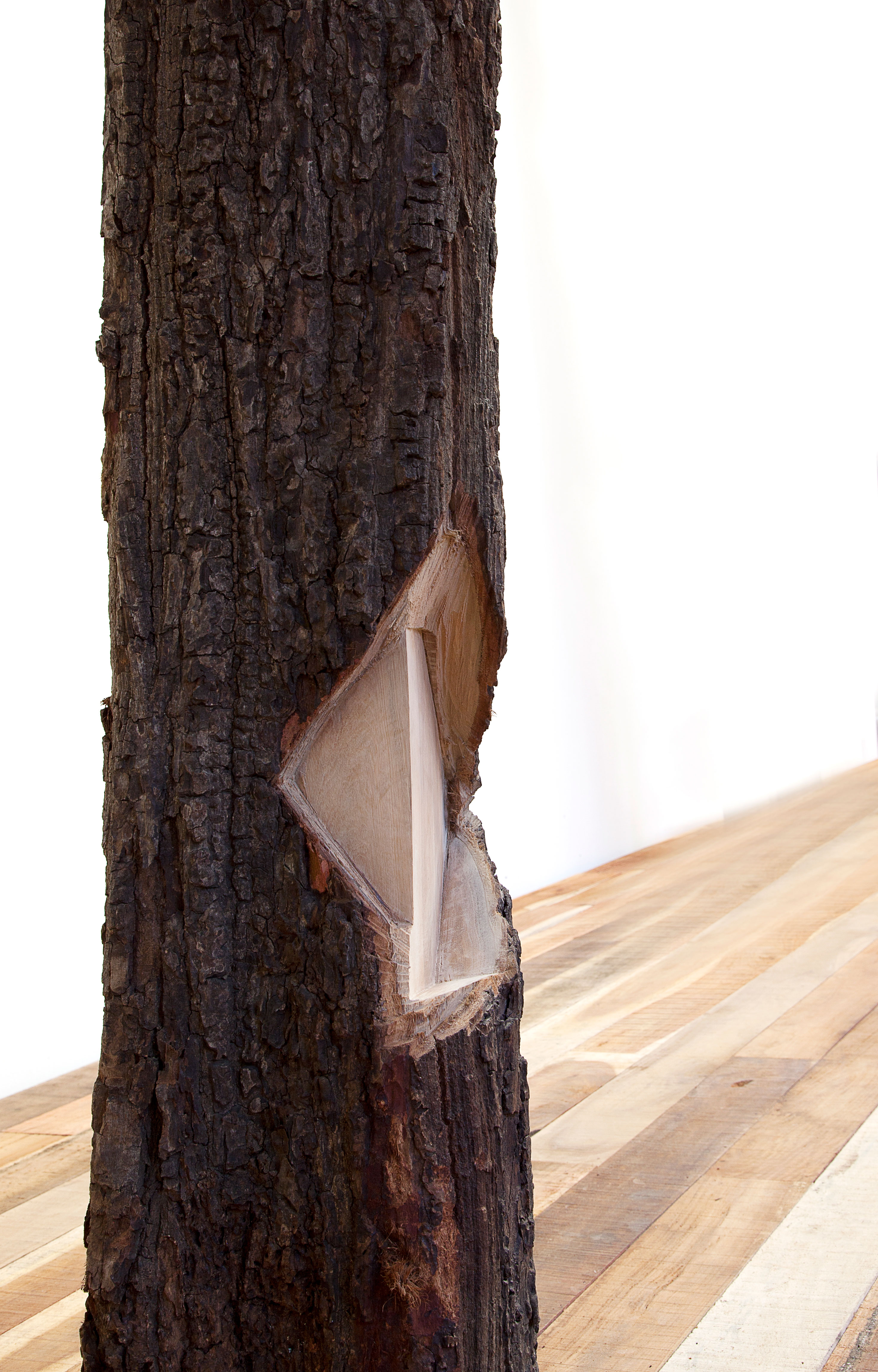 rien n'est moins comparable sara favriau