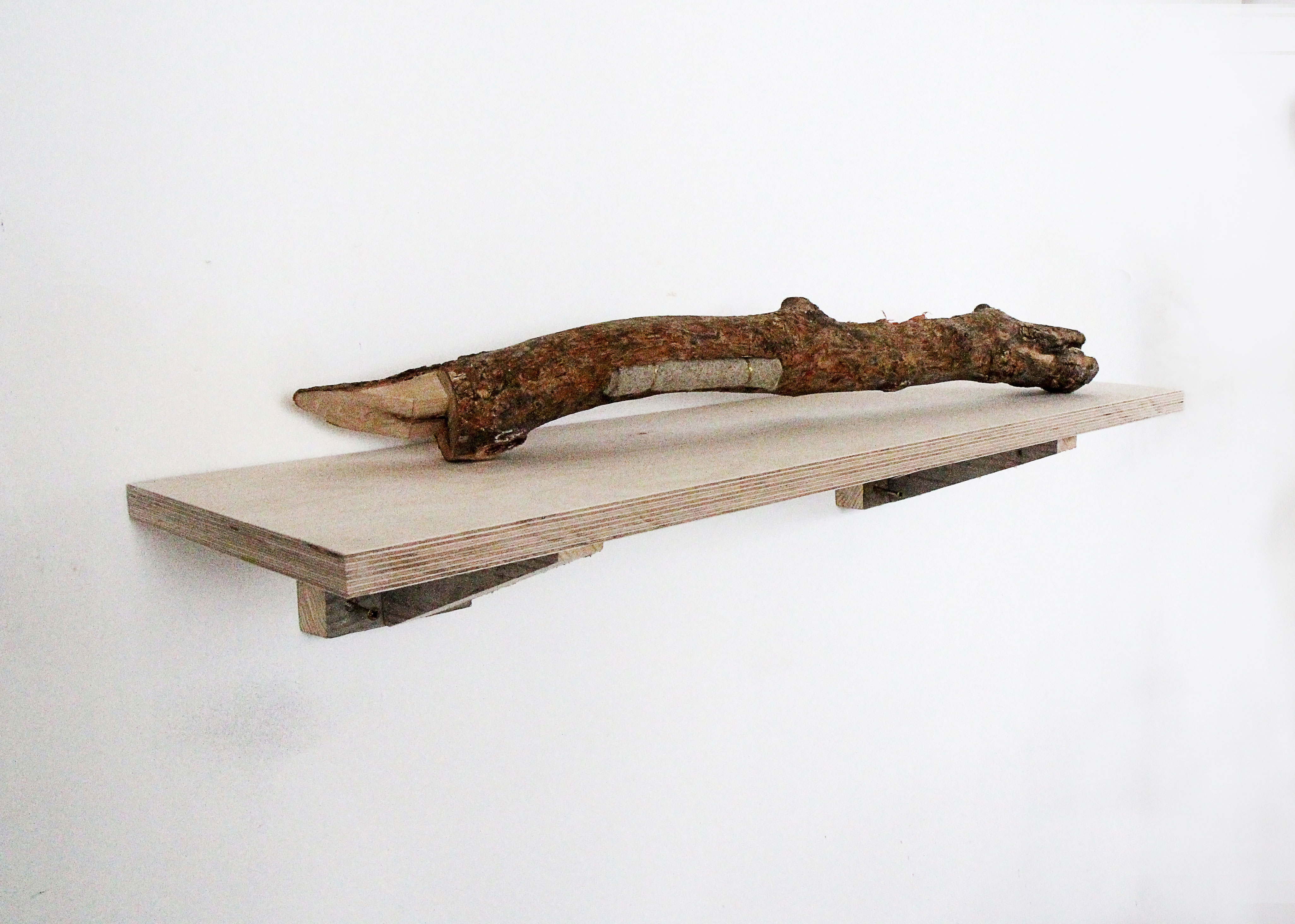 colonies - sara favriau