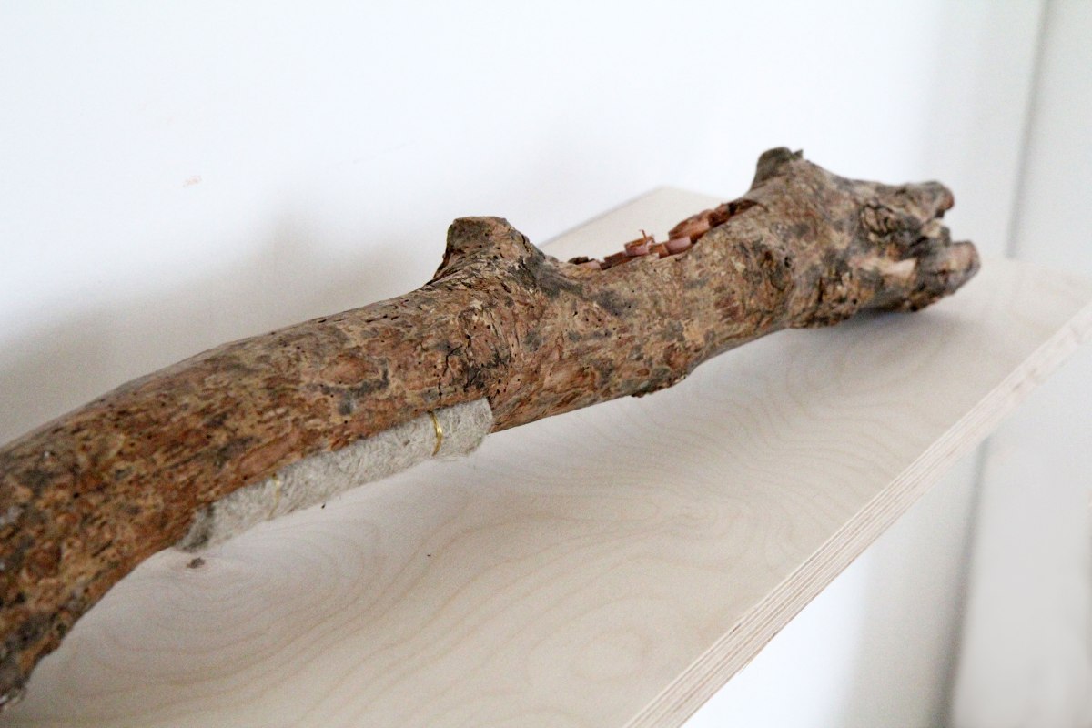 colonies - sara favriau