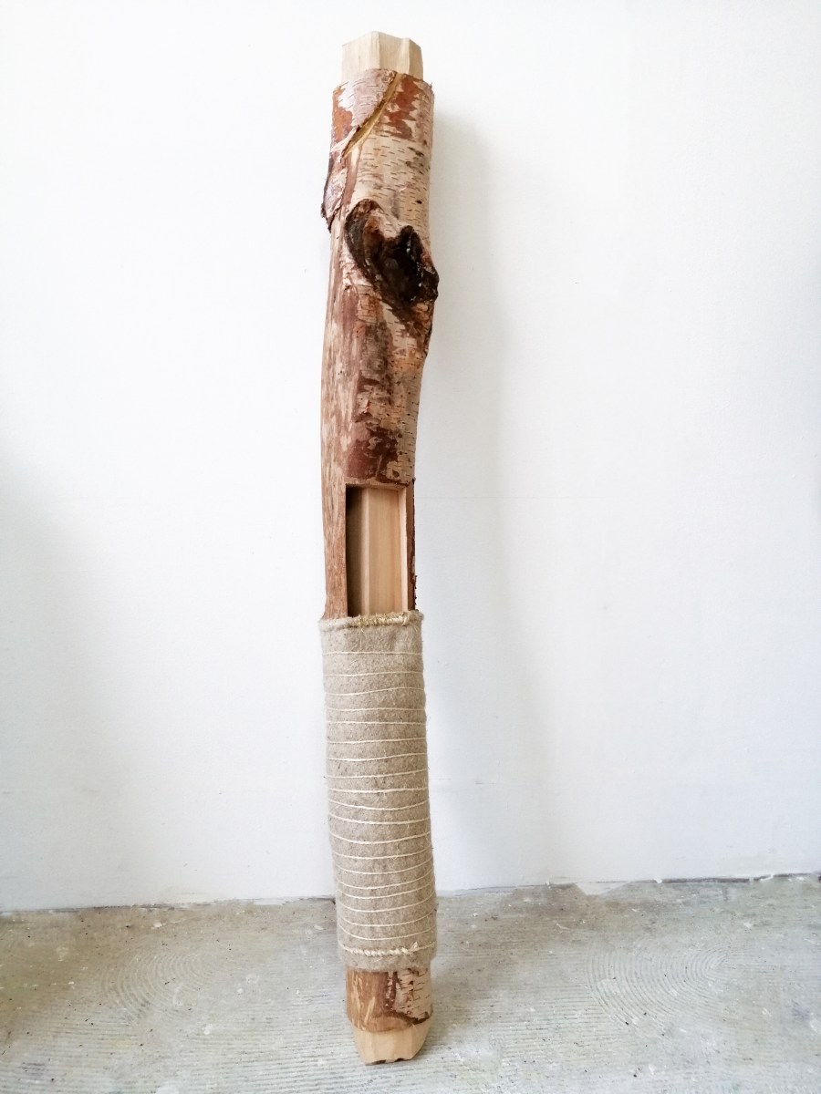 Les consciences partielles - sara favriau