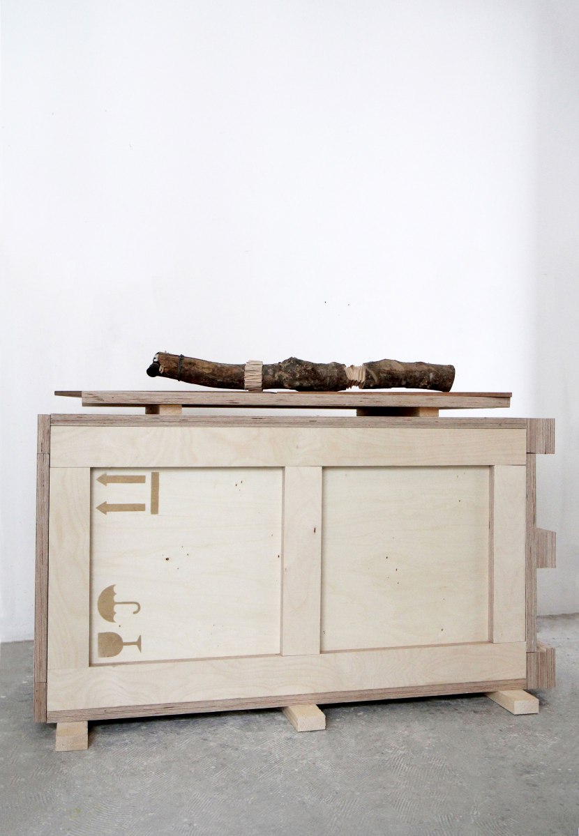 la poule - sara favriau