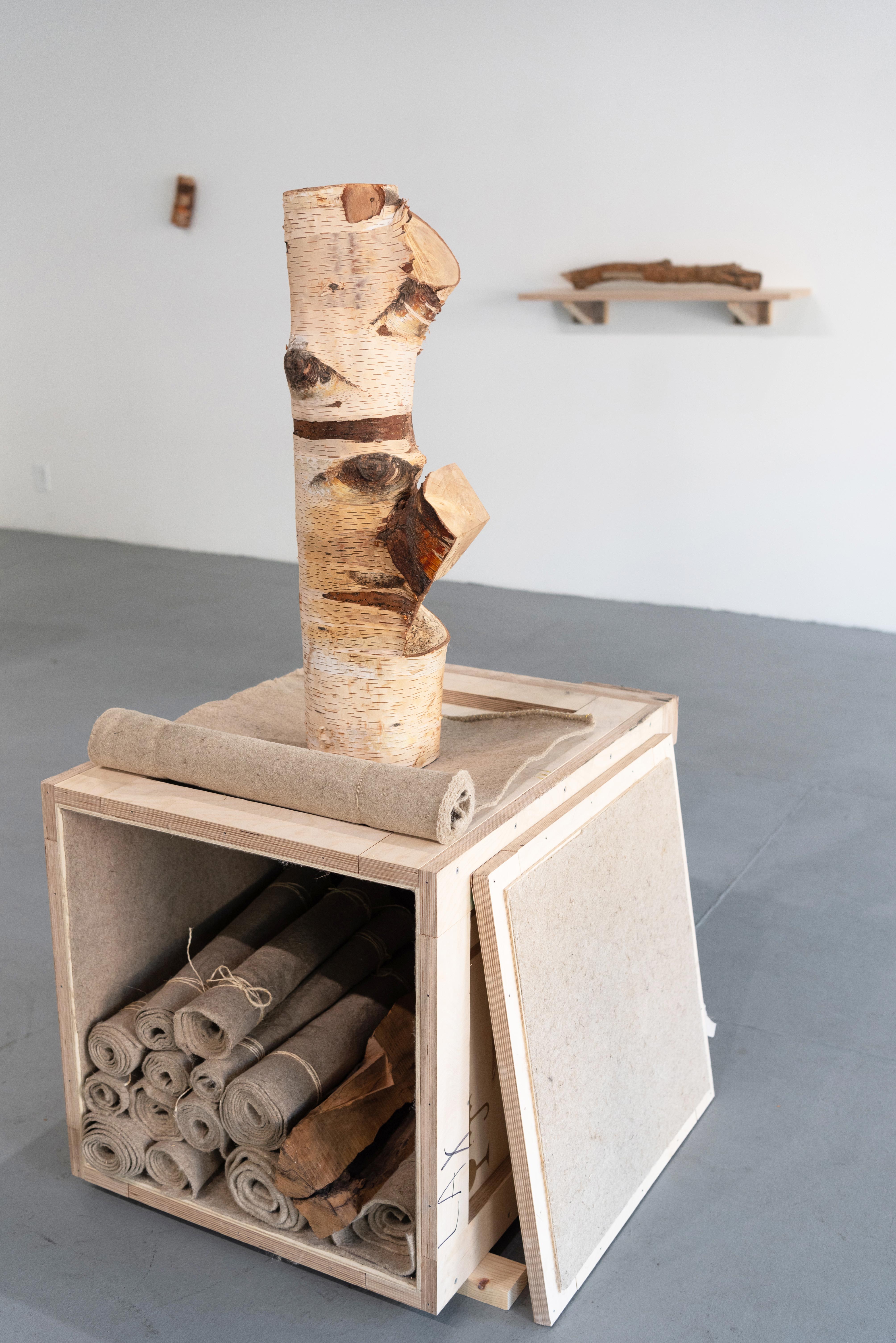 Une voix béante, un genre tandem. C’était la paix - sara favriau