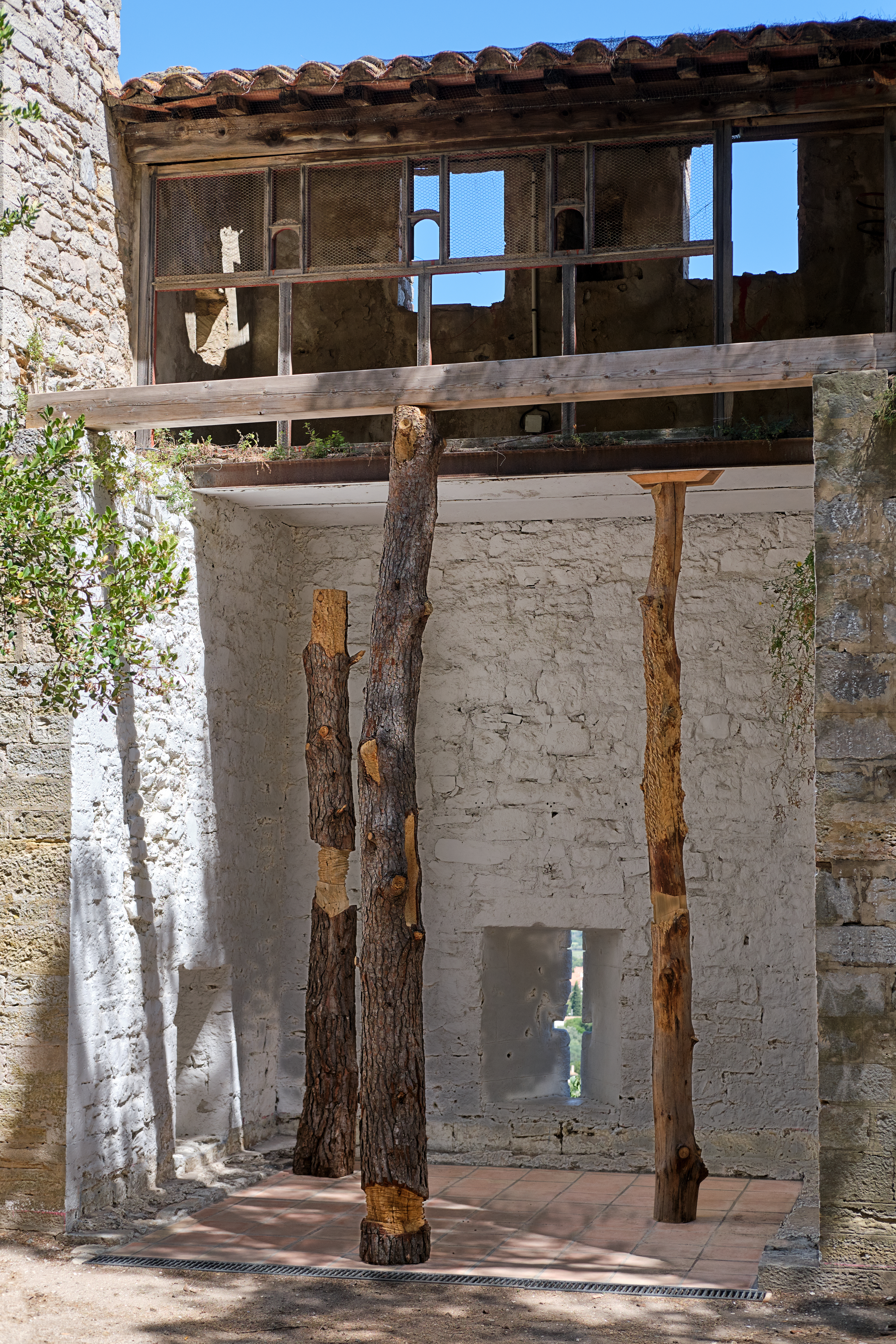 cairn ou le cercle vertueux - SARA FAVRIAU