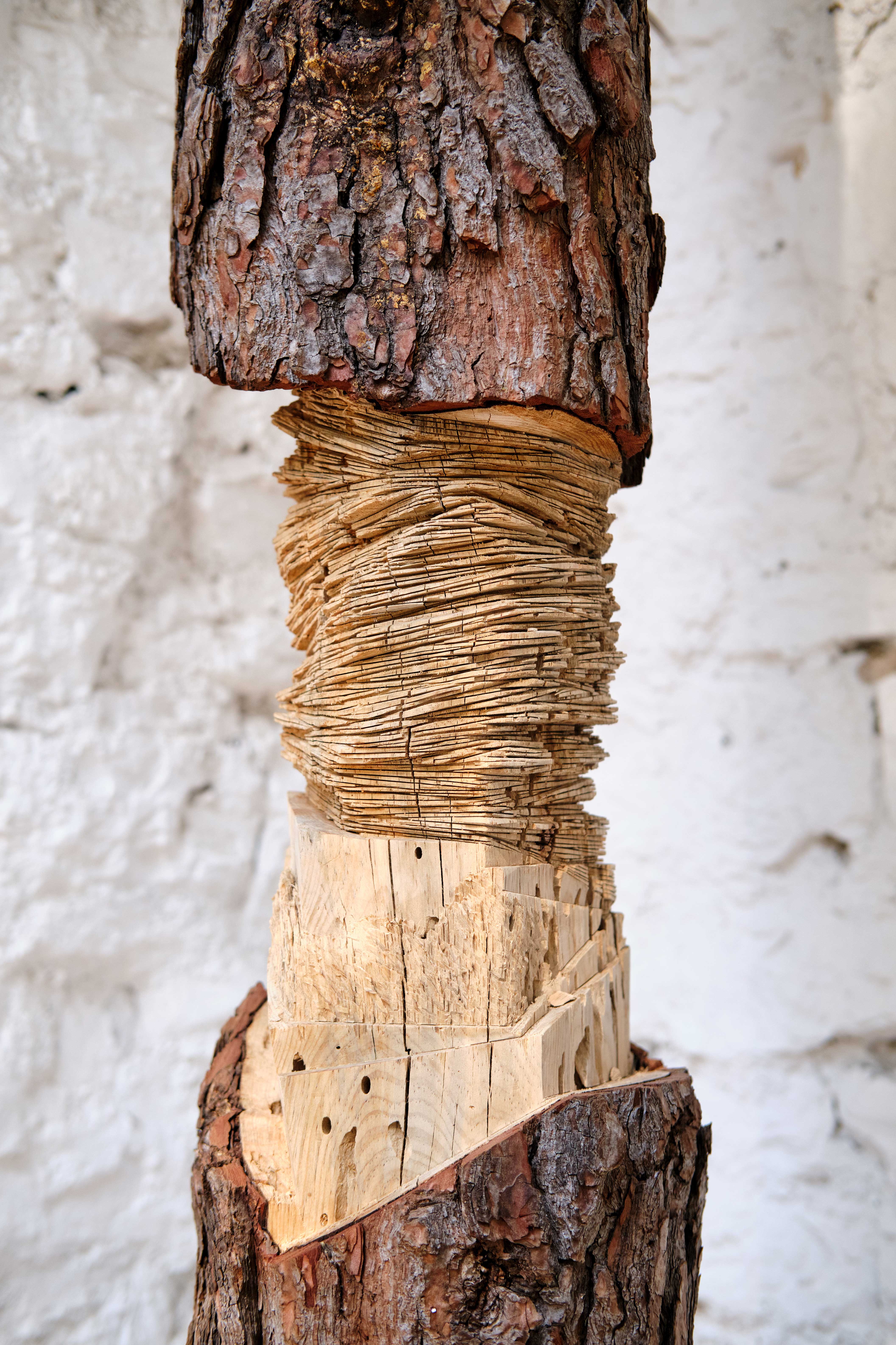 Cairn ou le cercle vertueux - sara favriau