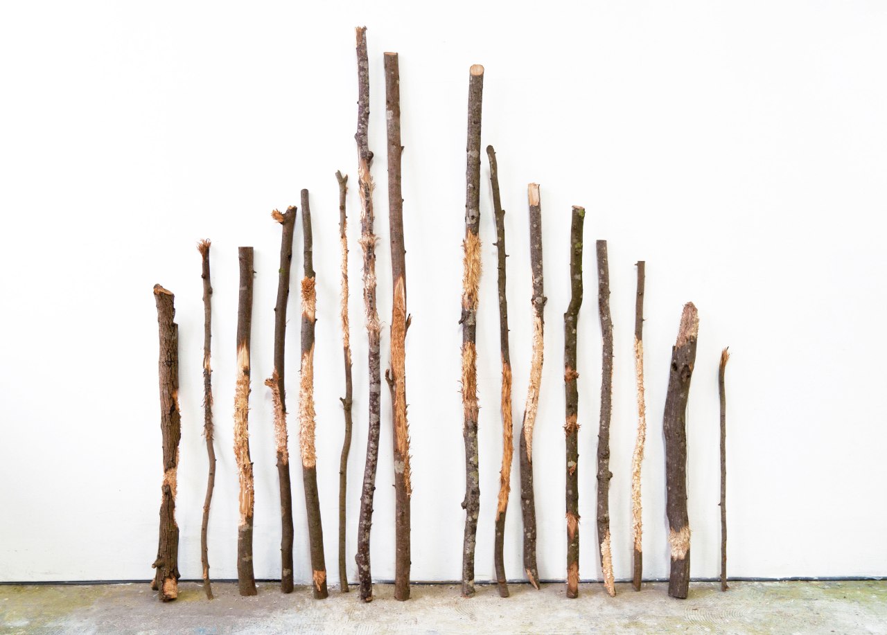 bacille ou la résurrection - sara favriau