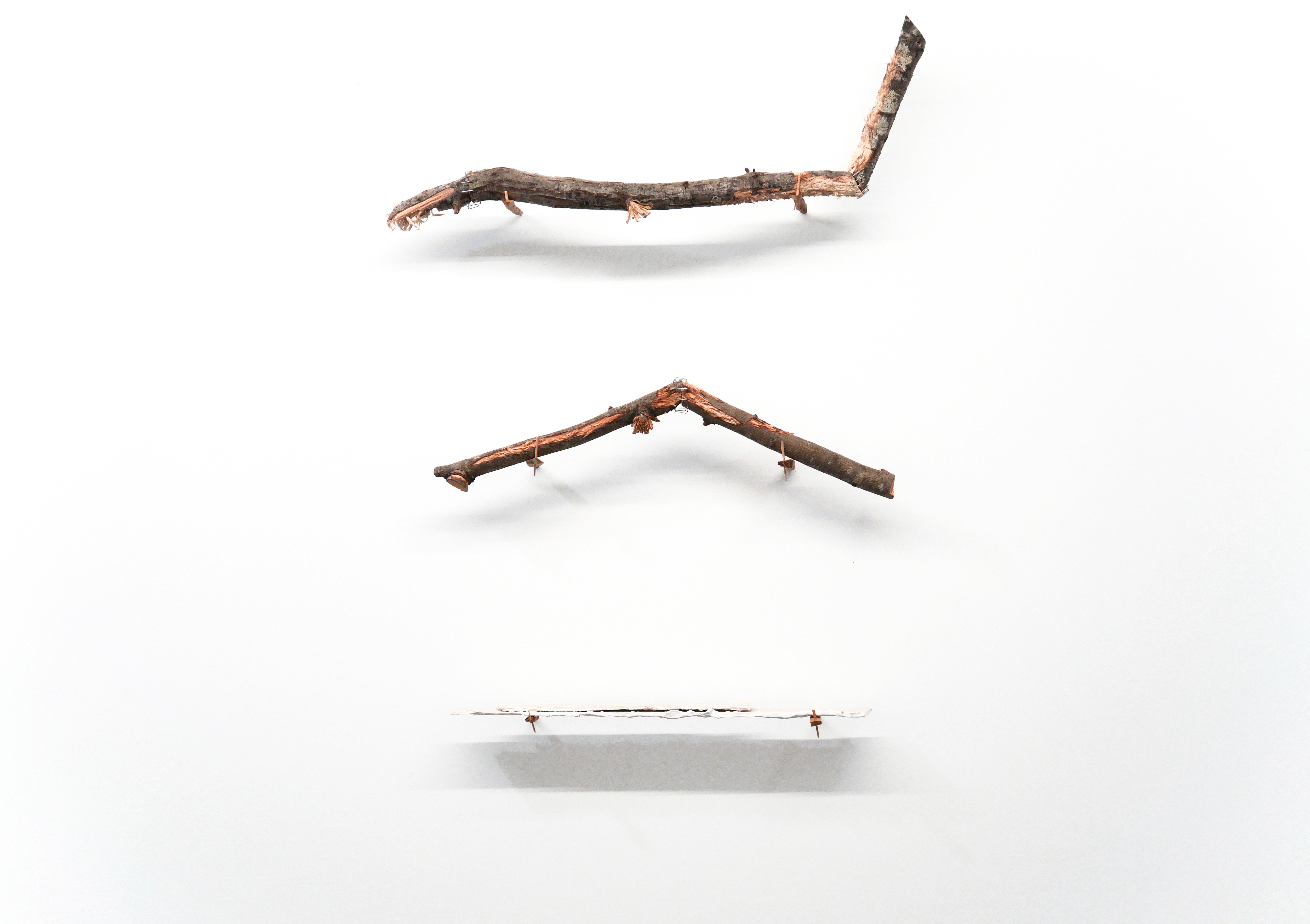 la griffe - sara favriau