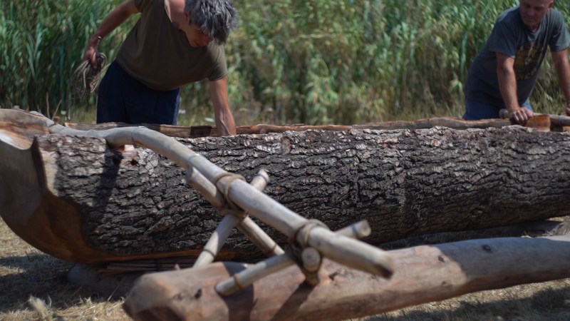 Par terre une saison bleuie et une lame damassée - sara favriau