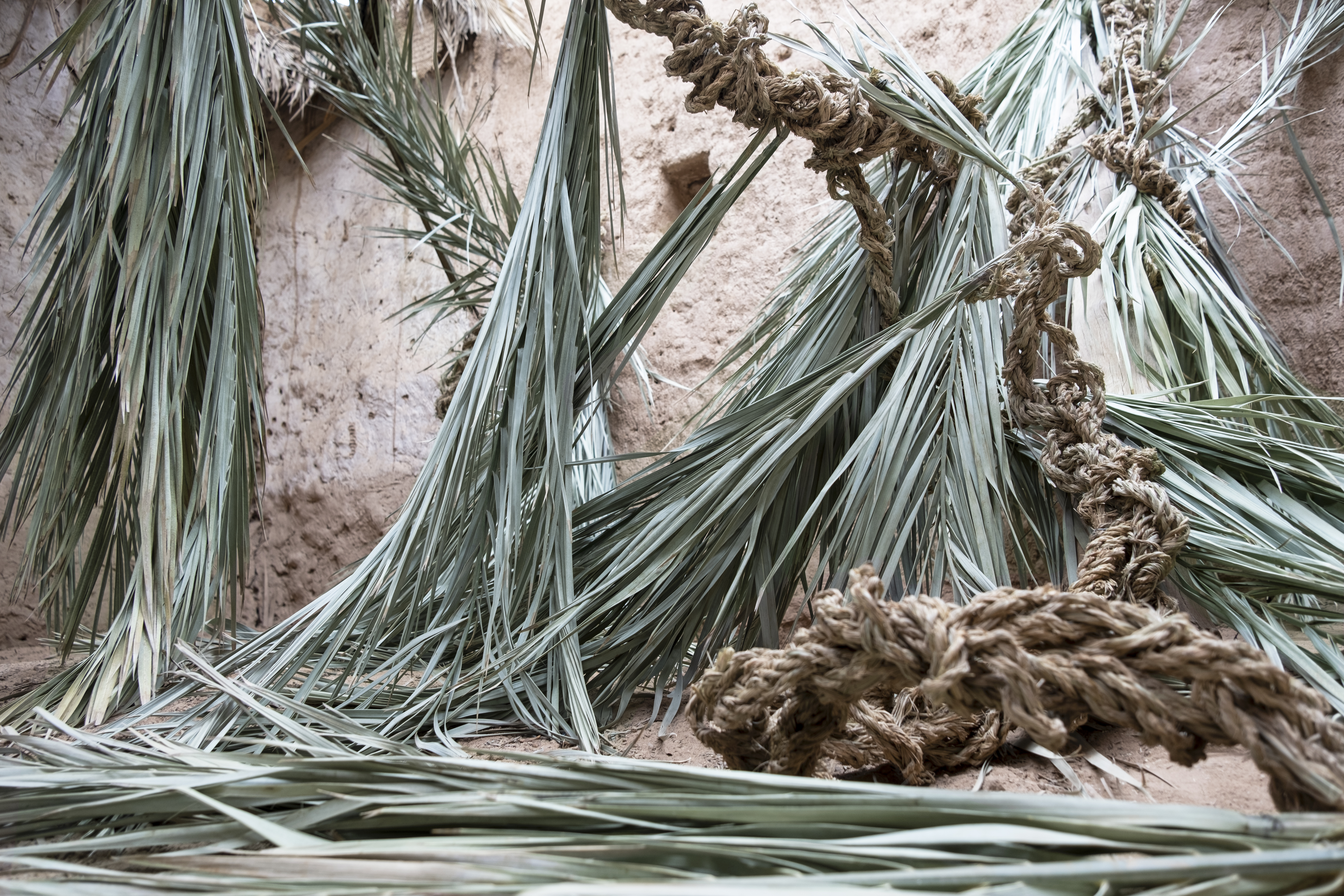 Le ruban de Möbius - SARA FAVRIAU