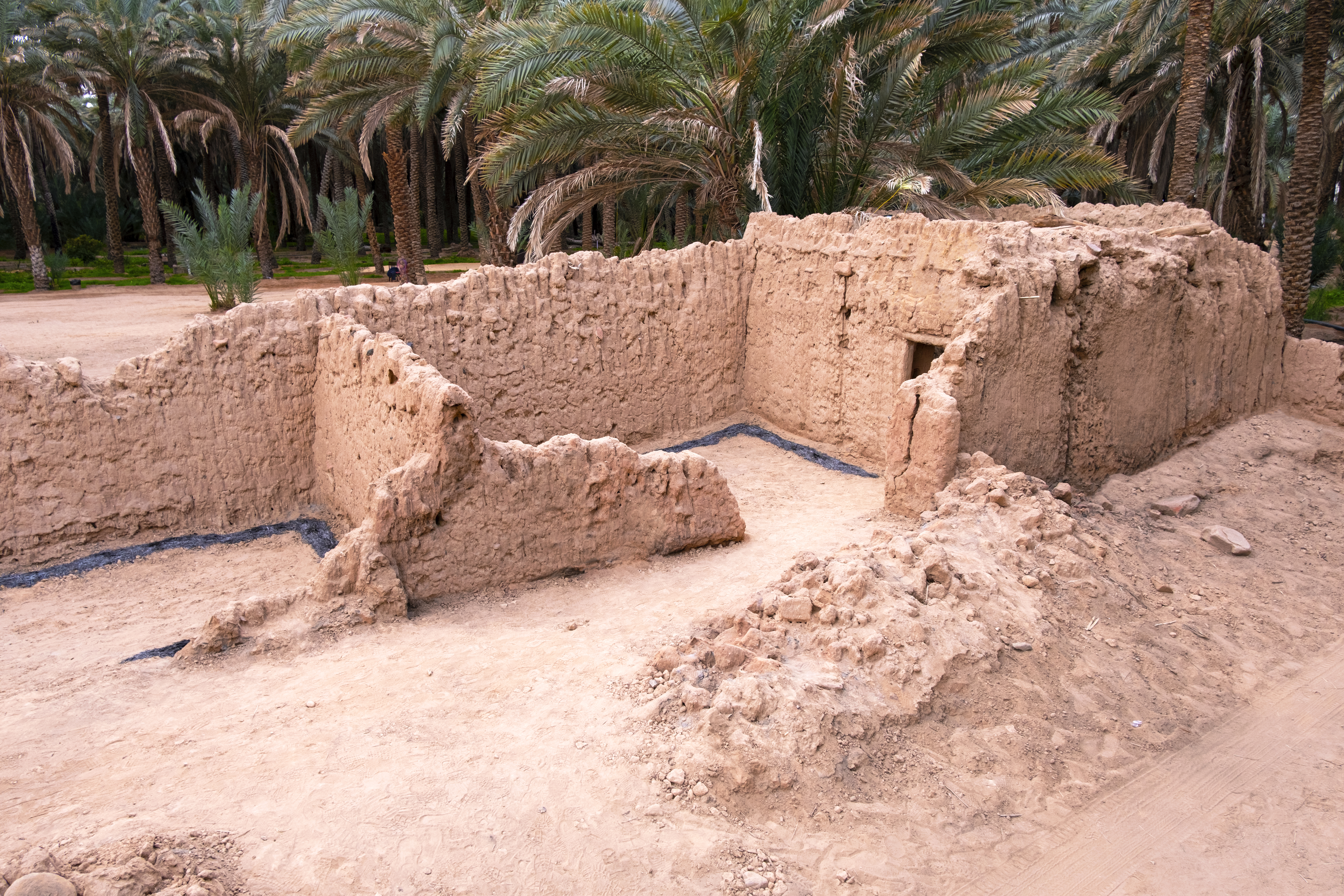 Le ruban de Möbius - SARA FAVRIAU