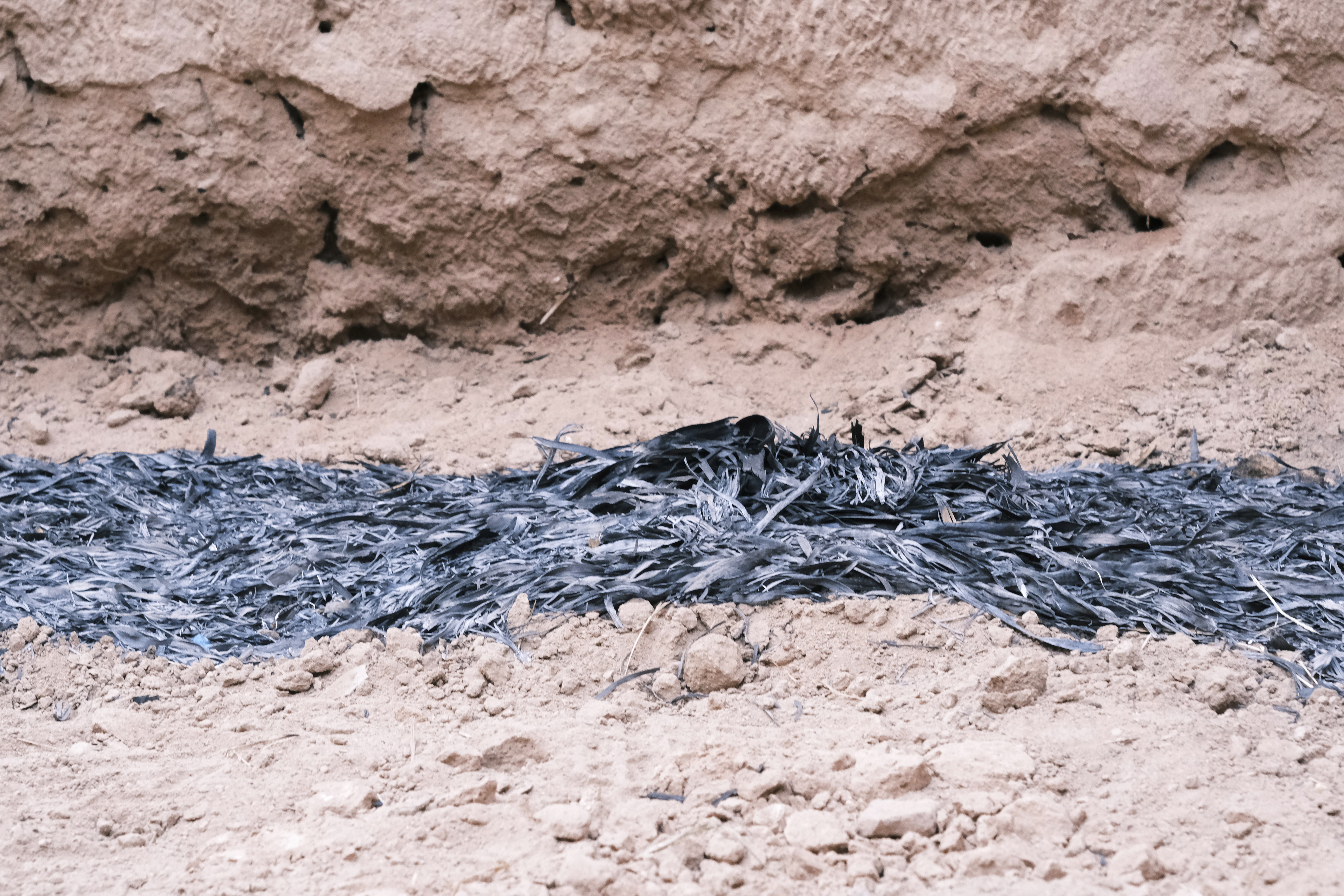 le ruban de moëbius - sara favriau