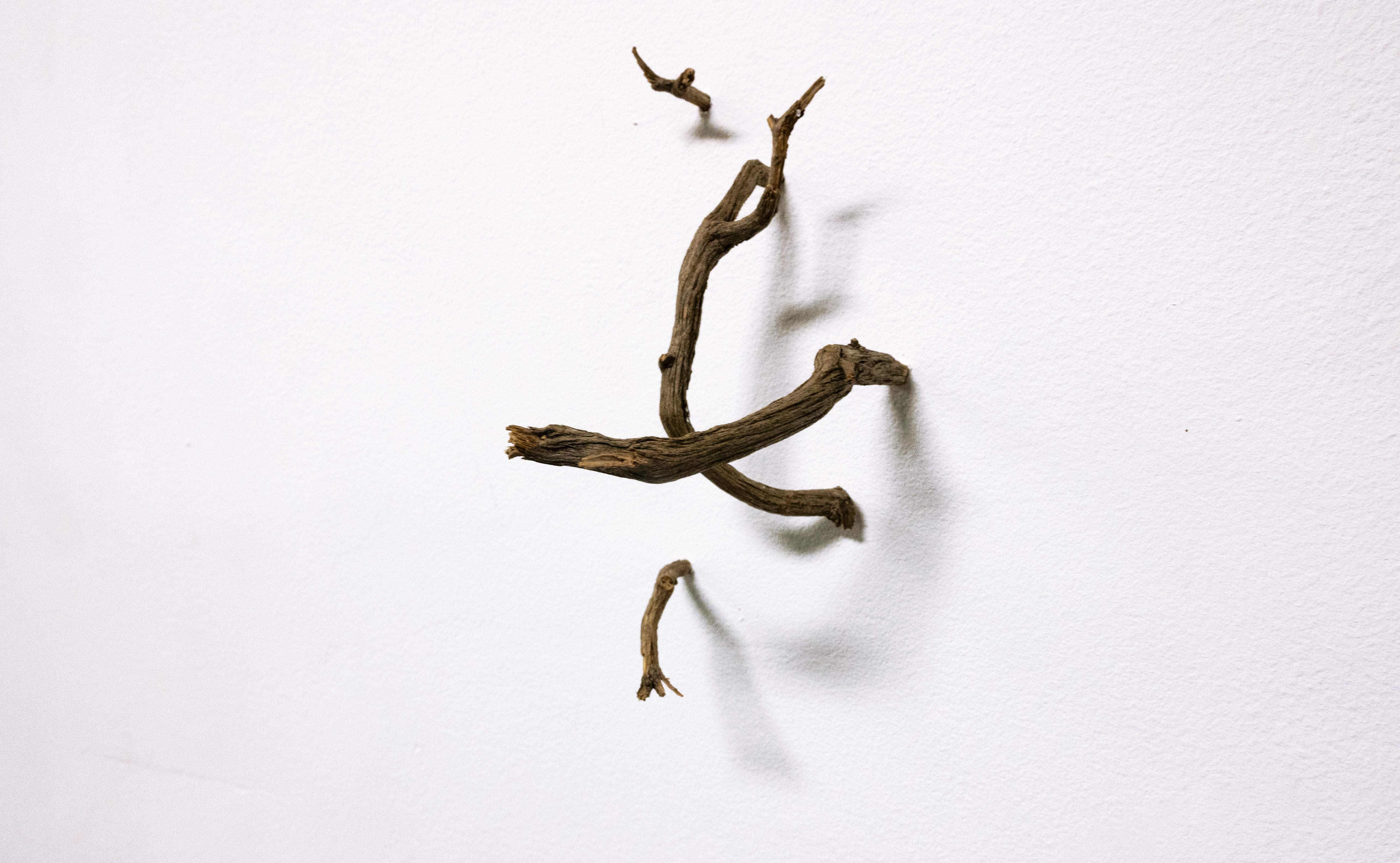 Les petits rien n°3 - SARA FAVRIAU