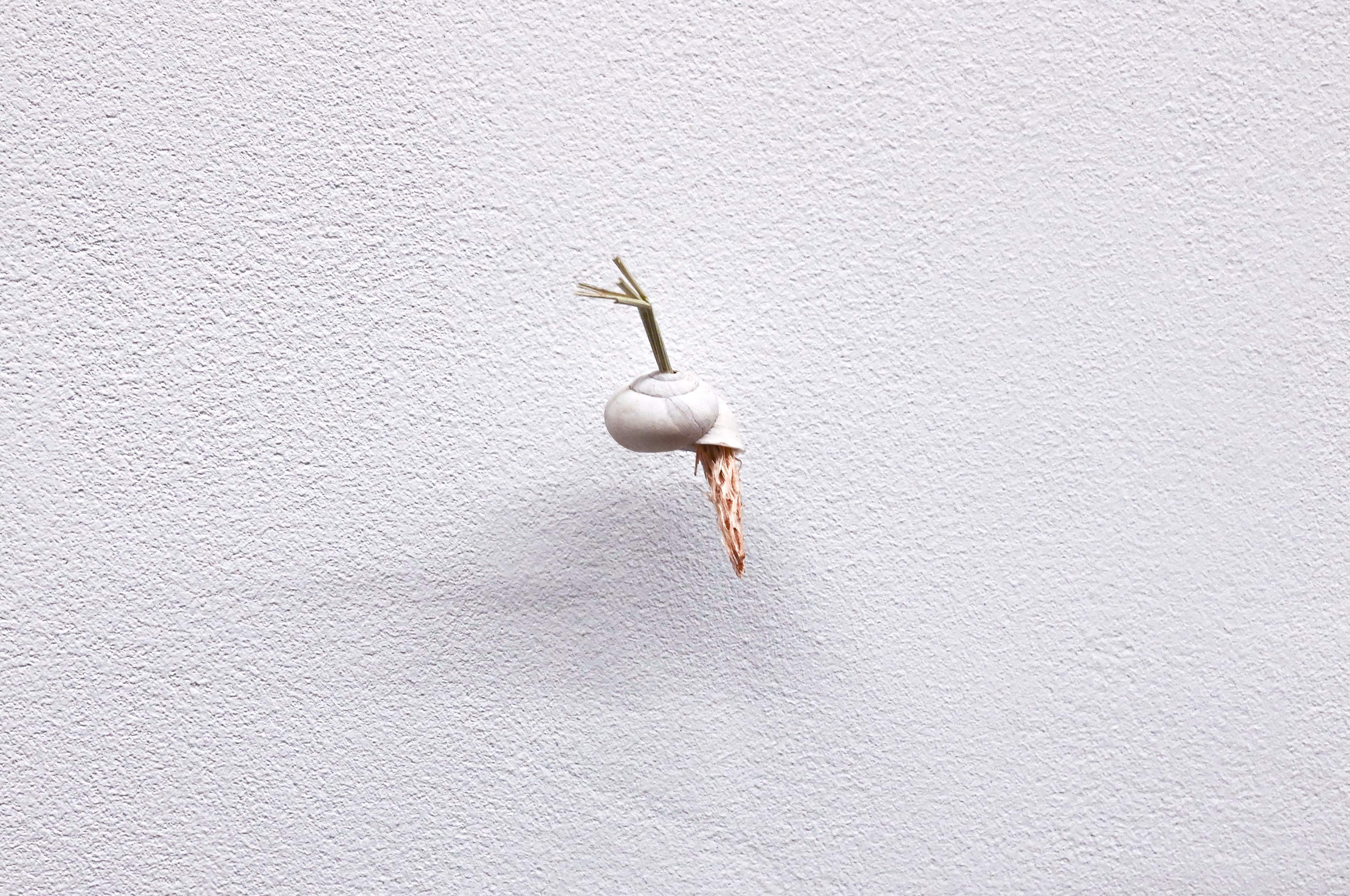 Les petits rien n°3 - SARA FAVRIAU