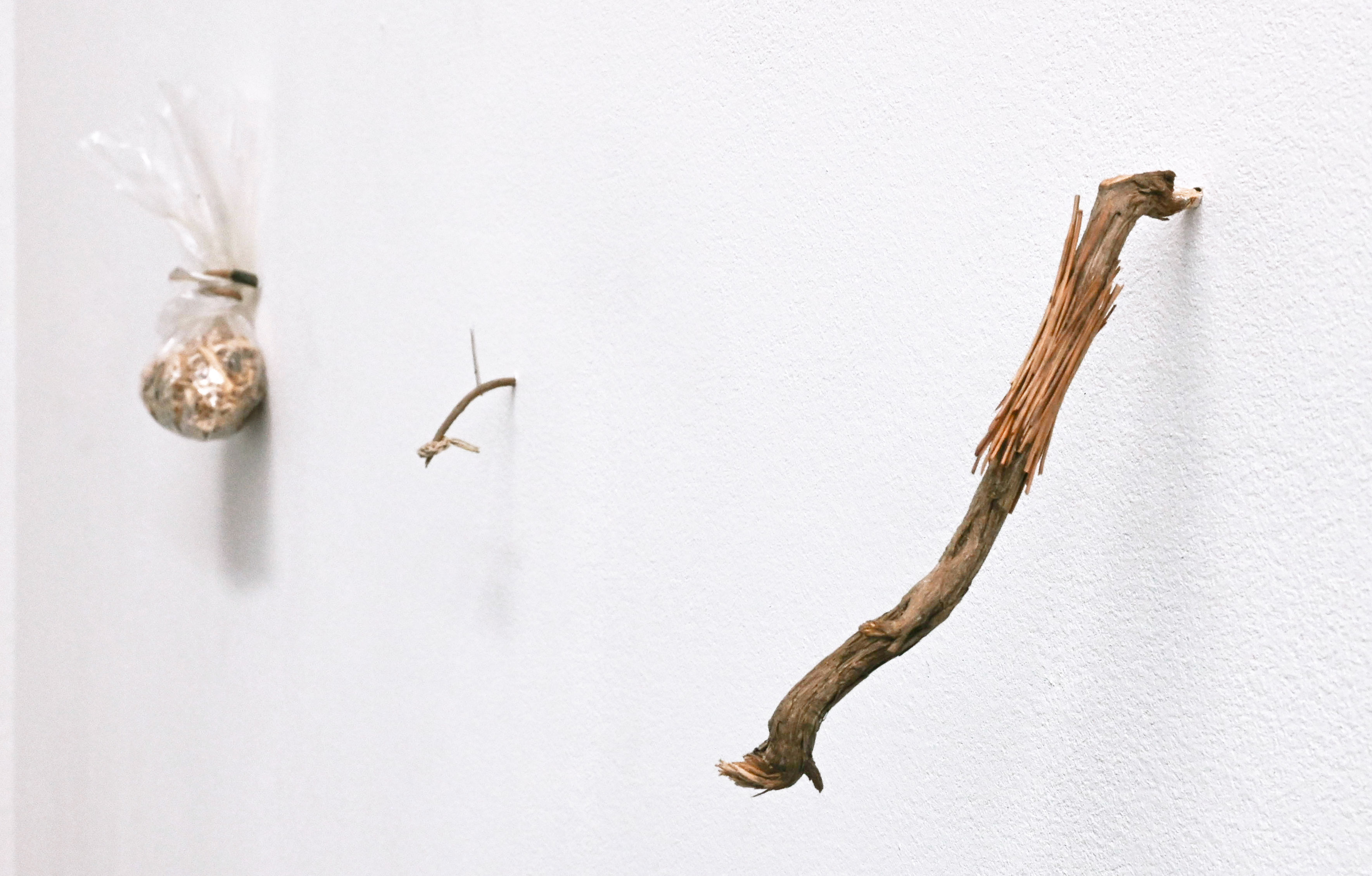 Les petits rien n°3 - SARA FAVRIAU