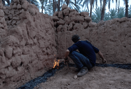 pierrefeuilleciseau - SARA FAVRIAU