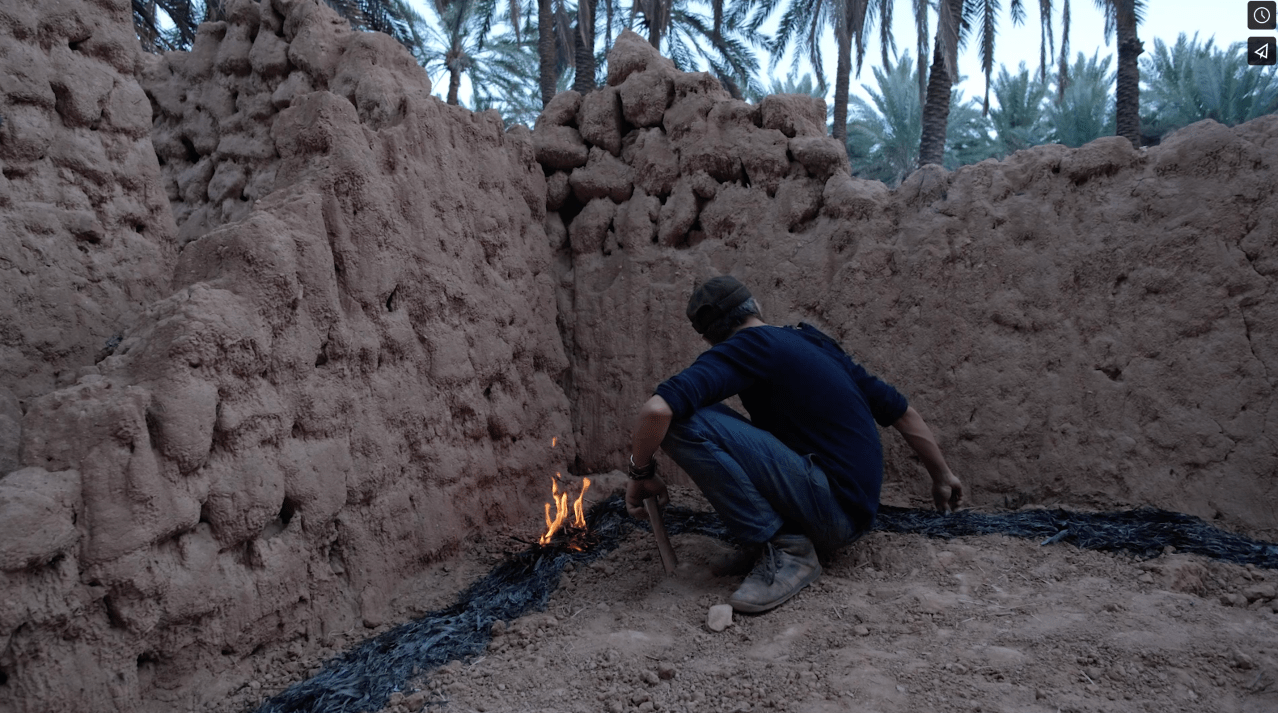 pierrefeuilleciseau - SARA FAVRIAU