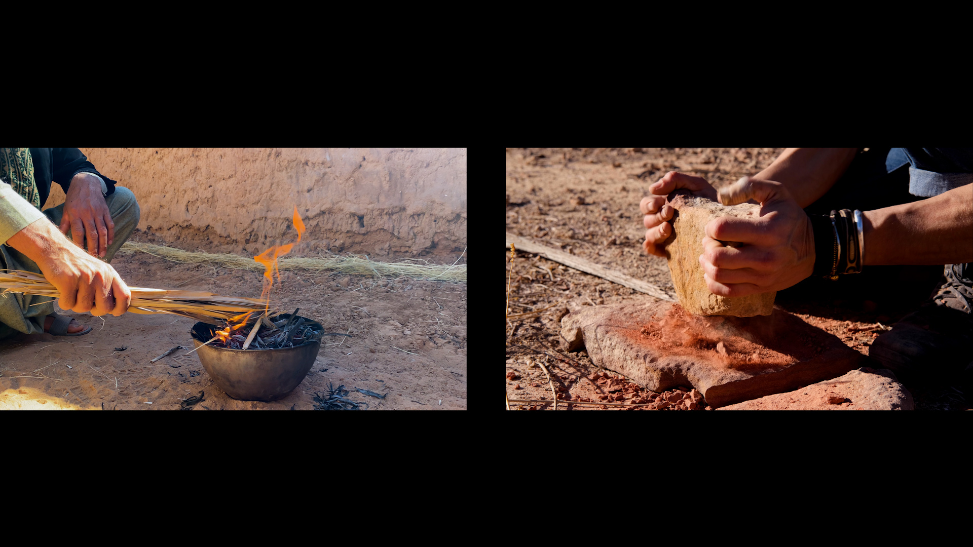 pierrefeuilleciseau - SARA FAVRIAU