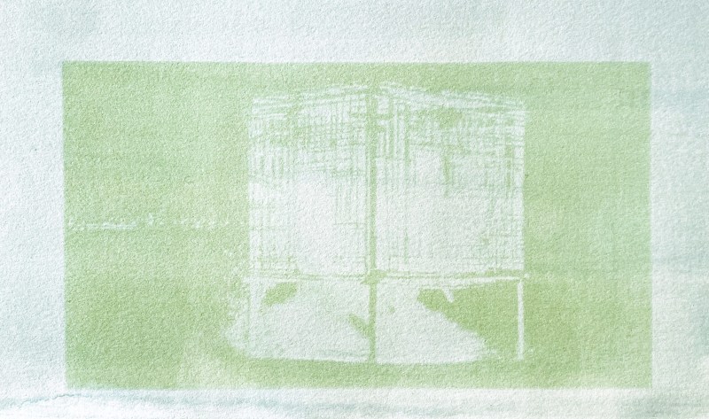 saison verte n°1 - SARA FAVRIAU