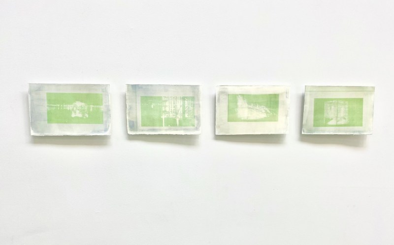 saison verte n°1 - SARA FAVRIAU