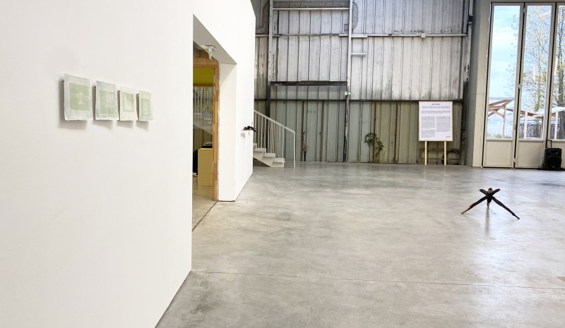 saison verte n°1 - SARA FAVRIAU