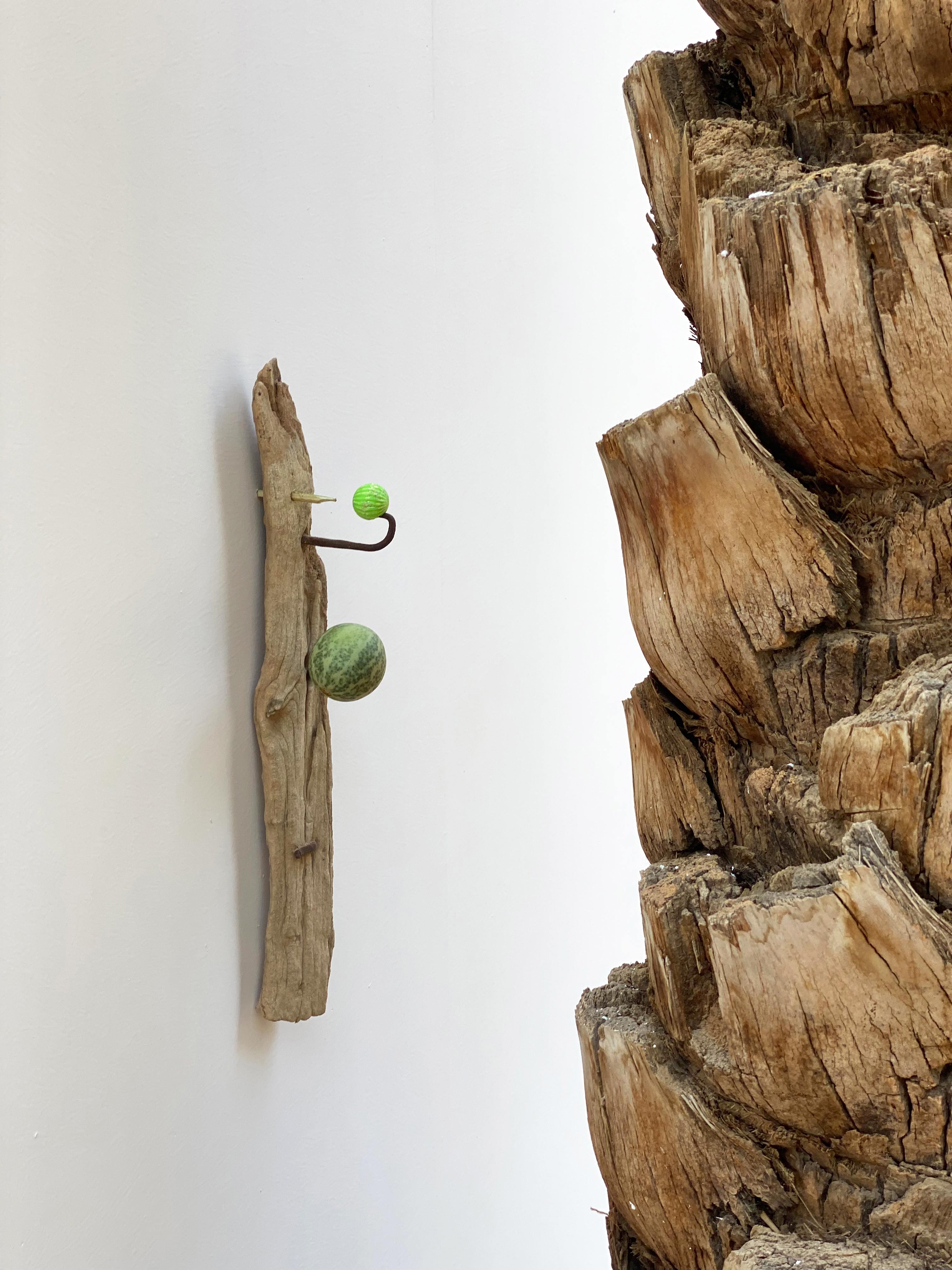 les petits rien n°1 - SARA FAVRIAU