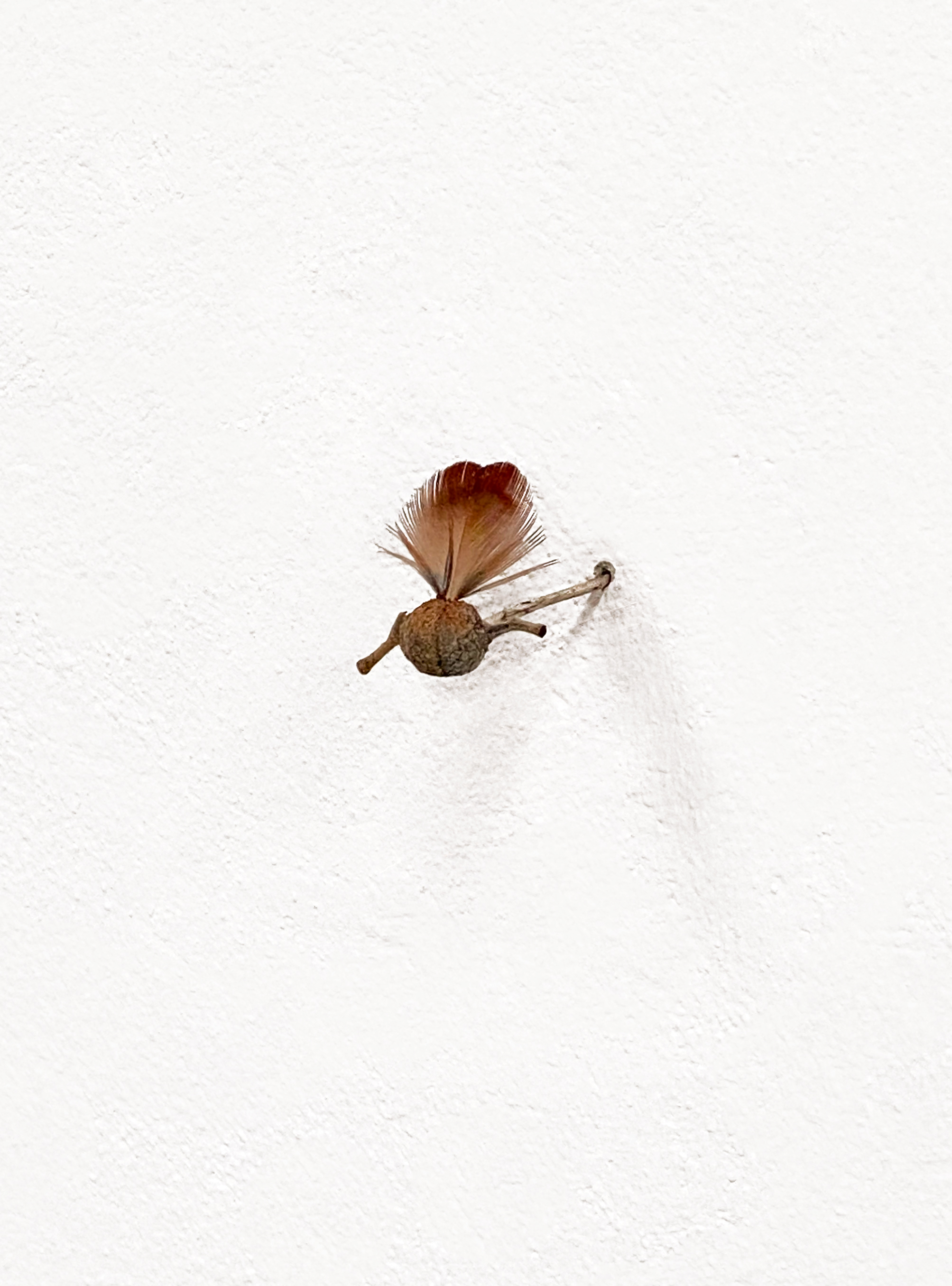 Les petits rien n°2 - SARA FAVRIAU