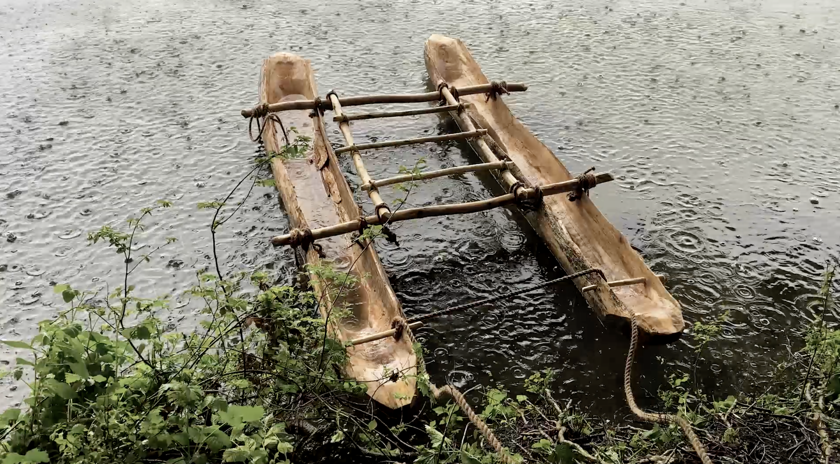 L’océan plein, la tempête et les piverts - SARA FAVRIAU
