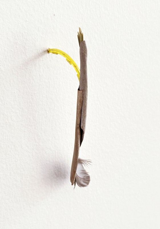 Les petits rien n°6 - SARA FAVRIAU