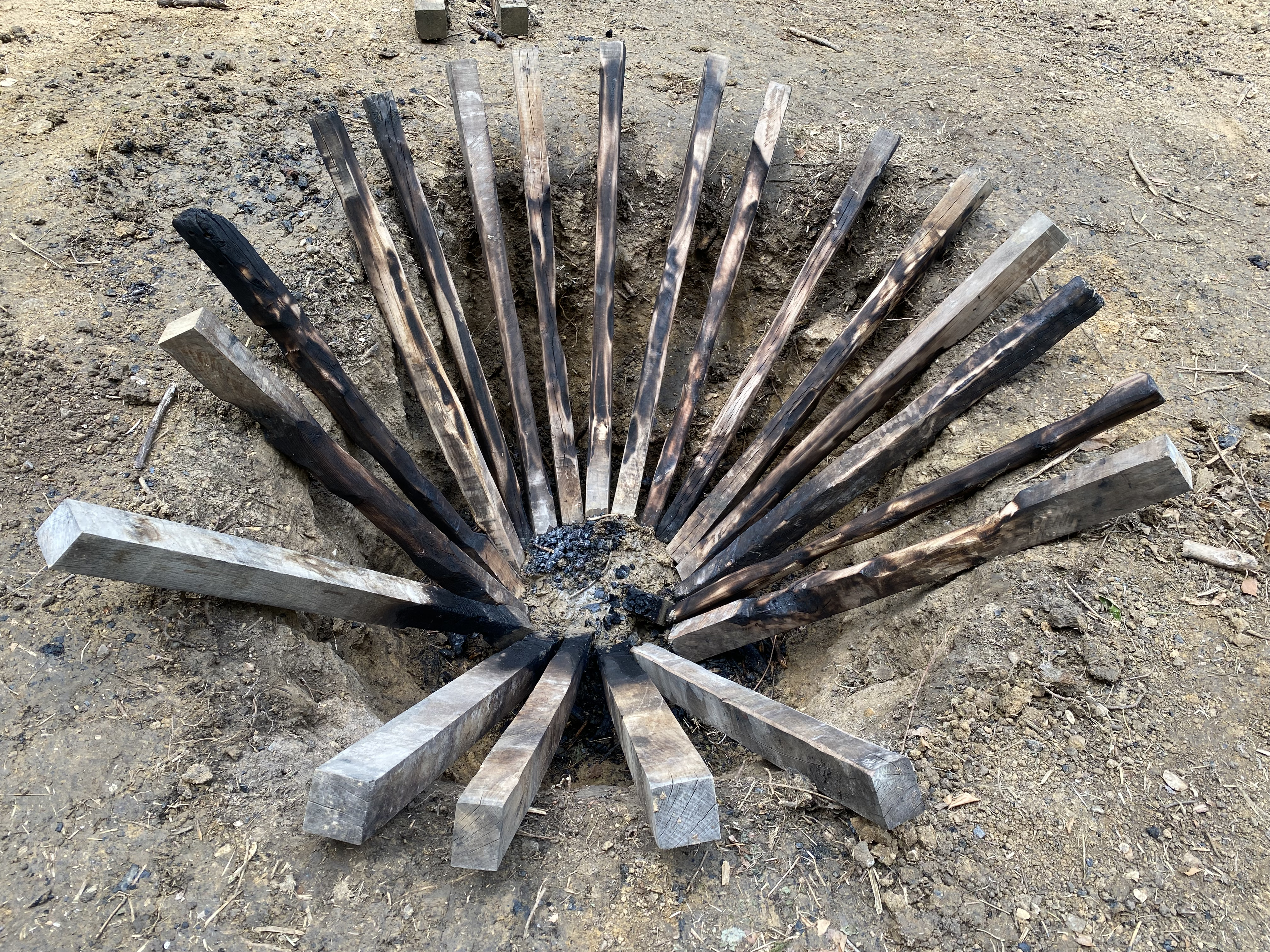 Aven - SARA FAVRIAUAven - SARA FAVRIAU