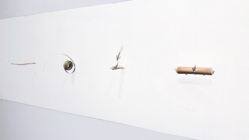 Petits rien n°4 - SARA FAVRIAU