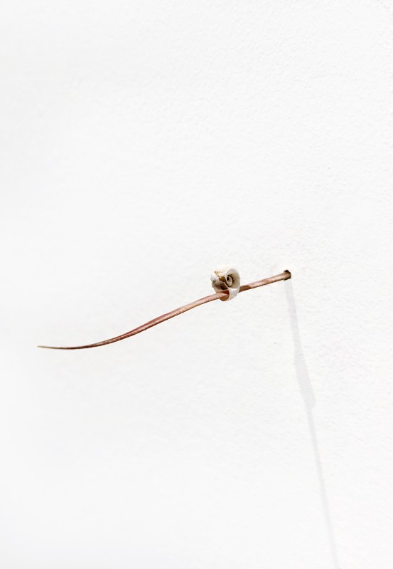 Petits rien n°4 - SARA FAVRIAU