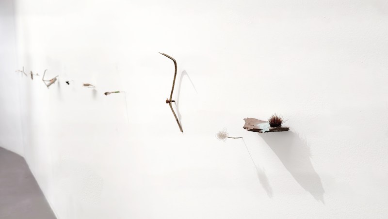 Les petits rien n°5 - SARA FAVRIAU