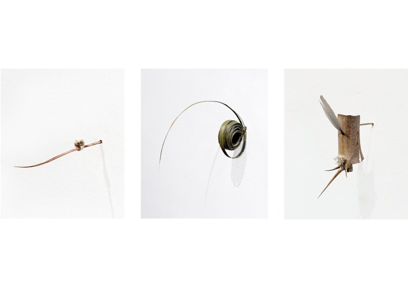 Petits rien n°4 - SARA FAVRIAU