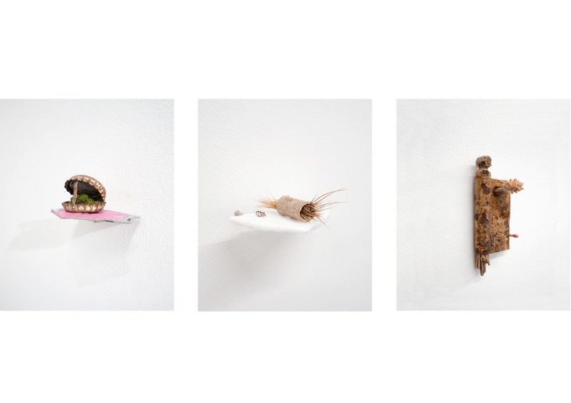 Les petits rien n°5 - SARA FAVRIAU