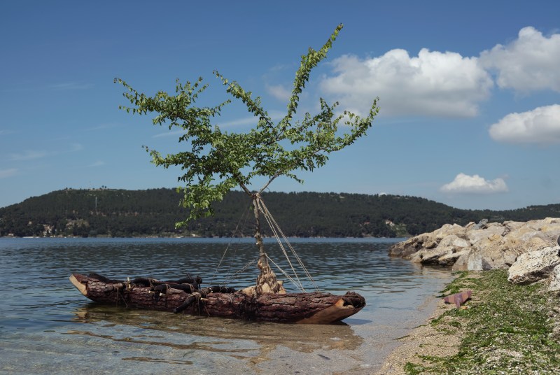 Le brin d'une herbe jaillit à qui la vie déborde - SARA FAVRIAU