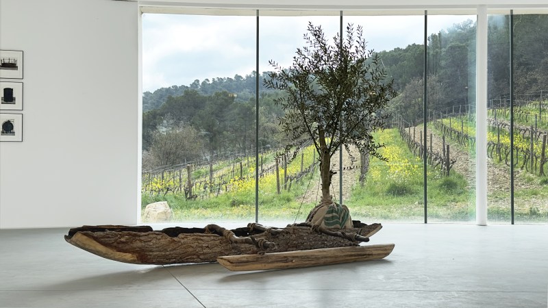 Le brin d'une herbe jaillit à qui la vie déborde - SARA FAVRIAU